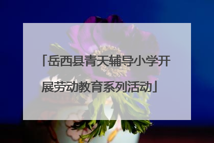 岳西县青天辅导小学开展劳动教育系列活动