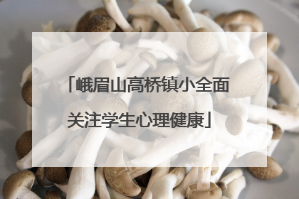 峨眉山高桥镇小全面关注学生心理健康