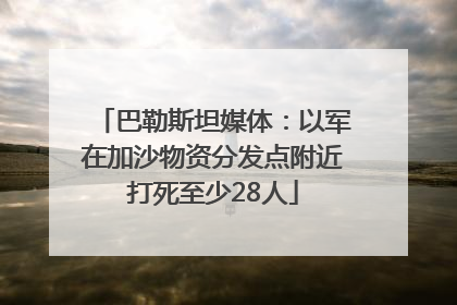 巴勒斯坦媒体：以军在加沙物资分发点附近打死至少28人