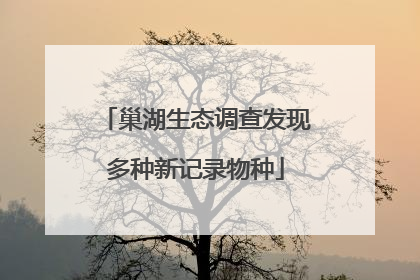 巢湖生态调查发现多种新记录物种
