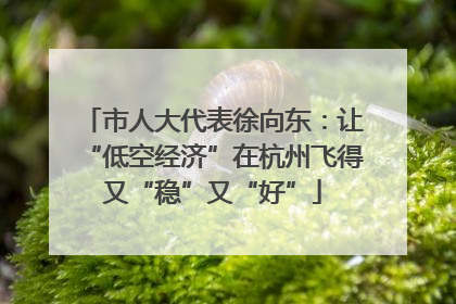 市人大代表徐向东：让“低空经济”在杭州飞得又“稳”又“好”