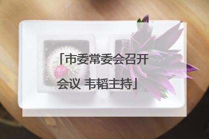 市委常委会召开会议 韦韬主持