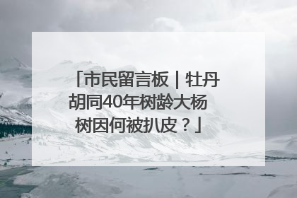 市民留言板｜牡丹胡同40年树龄大杨树因何被扒皮？