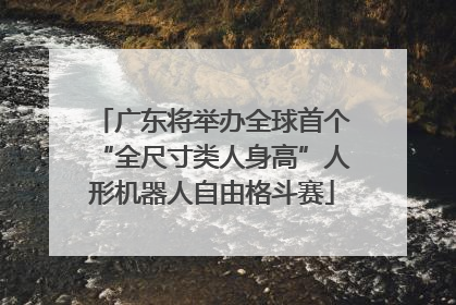 广东将举办全球首个“全尺寸类人身高”人形机器人自由格斗赛