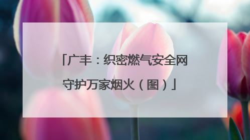 广丰：织密燃气安全网 守护万家烟火（图）