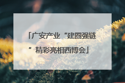 广安产业“建圈强链”精彩亮相西博会