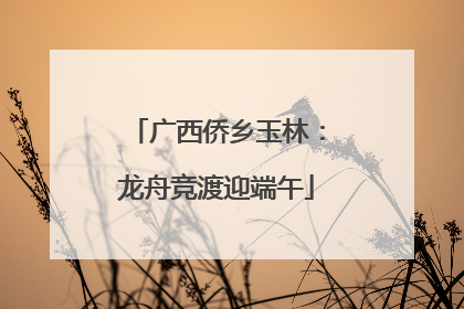 广西侨乡玉林：龙舟竞渡迎端午