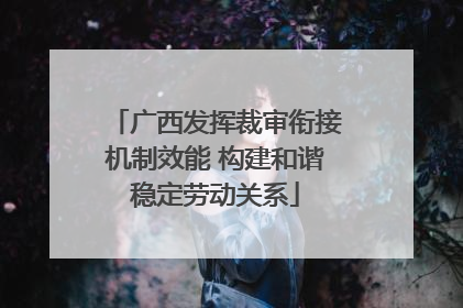 广西发挥裁审衔接机制效能 构建和谐稳定劳动关系