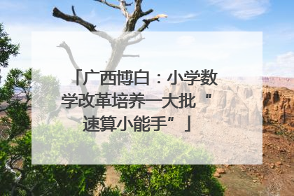 广西博白：小学数学改革培养一大批“速算小能手”