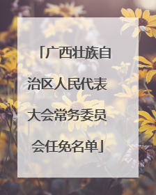 广西壮族自治区人民代表大会常务委员会任免名单