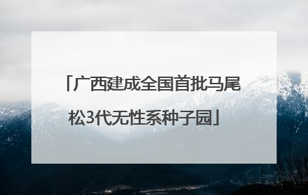广西建成全国首批马尾松3代无性系种子园