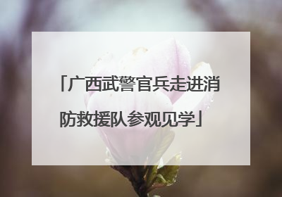 广西武警官兵走进消防救援队参观见学