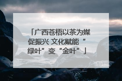 广西苍梧以茶为媒促振兴 文化赋能“绿叶”变“金叶”