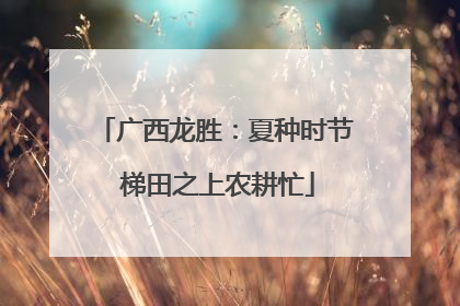 广西龙胜：夏种时节 梯田之上农耕忙