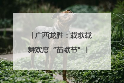 广西龙胜：载歌载舞欢度“苗歌节”