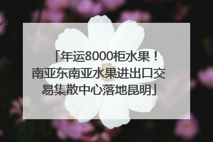 年运8000柜水果！南亚东南亚水果进出口交易集散中心落地昆明