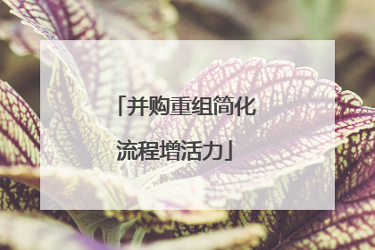 并购重组简化流程增活力