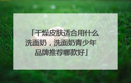 干燥皮肤适合用什么洗面奶，洗面奶青少年品牌推荐哪款好