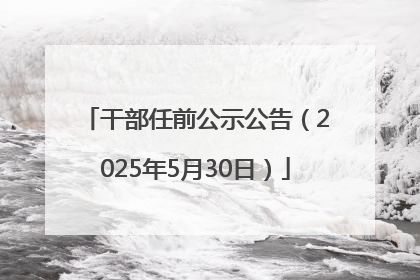 干部任前公示公告（2025年5月30日）