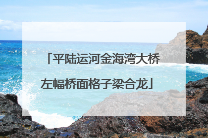 平陆运河金海湾大桥左幅桥面格子梁合龙