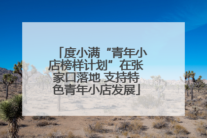 度小满“青年小店榜样计划”在张家口落地 支持特色青年小店发展