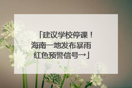 建议学校停课！海南一地发布暴雨红色预警信号→