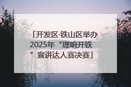 开发区·铁山区举办2025年“理响开铁”宣讲达人赛决赛
