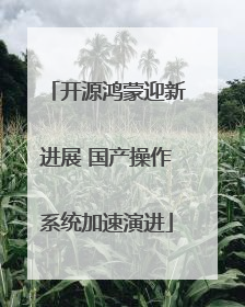 开源鸿蒙迎新进展 国产操作系统加速演进