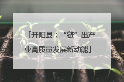 开阳县：“链”出产业高质量发展新动能
