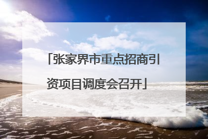 张家界市重点招商引资项目调度会召开