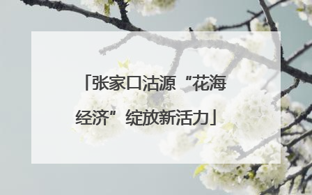 张家口沽源“花海经济”绽放新活力