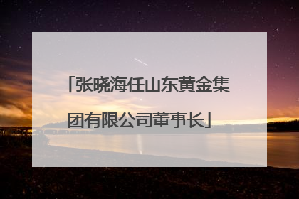 张晓海任山东黄金集团有限公司董事长