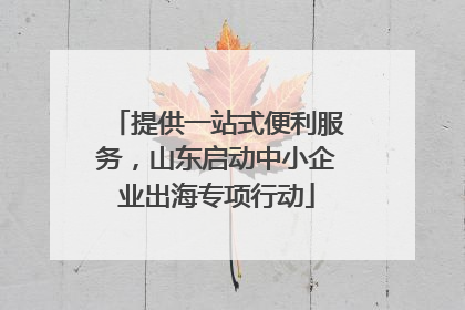 提供一站式便利服务，山东启动中小企业出海专项行动