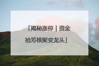 揭秘涨停｜资金抢筹核聚变龙头