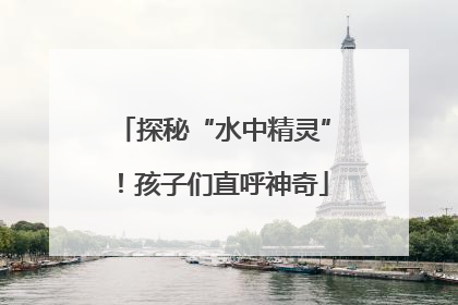探秘“水中精灵”！孩子们直呼神奇