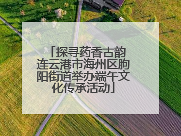 探寻药香古韵 连云港市海州区朐阳街道举办端午文化传承活动