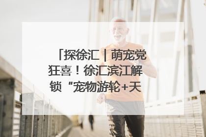 探徐汇｜萌宠党狂喜！徐汇滨江解锁“宠物游轮+天台乐园”双玩法