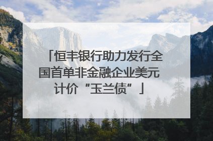 恒丰银行助力发行全国首单非金融企业美元计价“玉兰债”