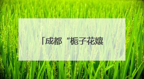 成都“栀子花孃孃”带脑瘫儿摆地摊感动全网 有人专程坐地铁来买花！丨封面头条