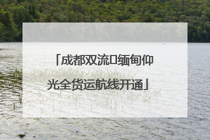 成都双流⇌缅甸仰光全货运航线开通