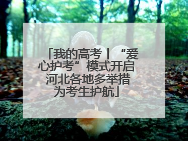 我的高考丨“爱心护考”模式开启 河北各地多举措为考生护航