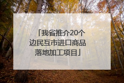 我省推介20个边民互市进口商品落地加工项目