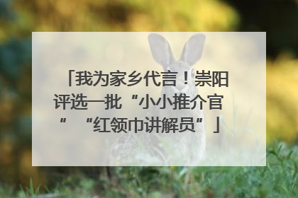 我为家乡代言！崇阳评选一批“小小推介官”“红领巾讲解员”