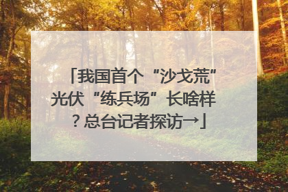 我国首个“沙戈荒”光伏“练兵场”长啥样？总台记者探访→