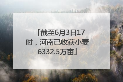 截至6月3日17时，河南已收获小麦6332.5万亩