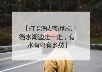 打卡消费新地标丨衡水湖边走一走，有水有鸟有乡愁