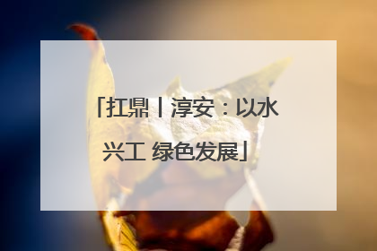 扛鼎丨淳安：以水兴工 绿色发展