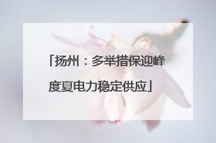 扬州：多举措保迎峰度夏电力稳定供应