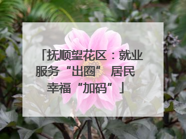 抚顺望花区：就业服务“出圈” 居民幸福“加码”