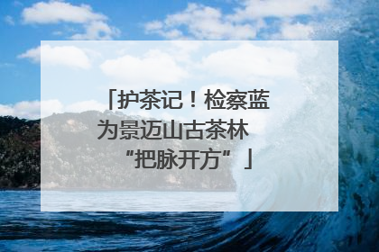 护茶记！检察蓝为景迈山古茶林 “把脉开方”